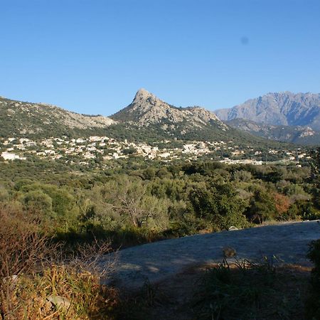 Belle Location Sur Lumio Avec Vue Remarquable Et Jardin Villa Dış mekan fotoğraf