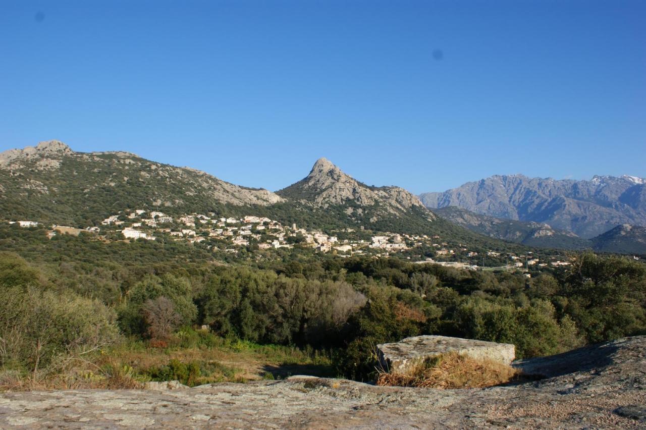 Belle Location Sur Lumio Avec Vue Remarquable Et Jardin Villa Dış mekan fotoğraf