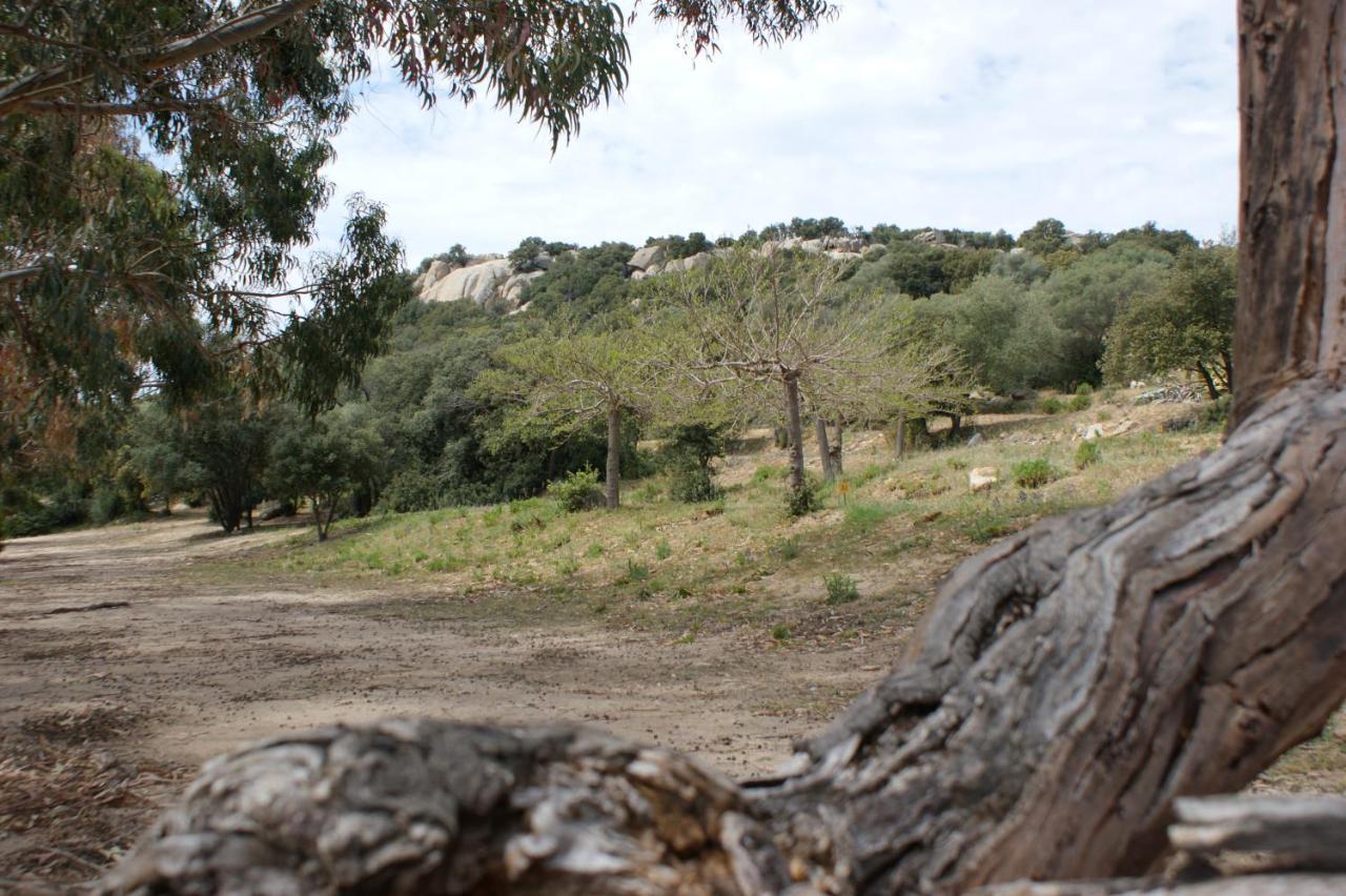 Belle Location Sur Lumio Avec Vue Remarquable Et Jardin Villa Dış mekan fotoğraf