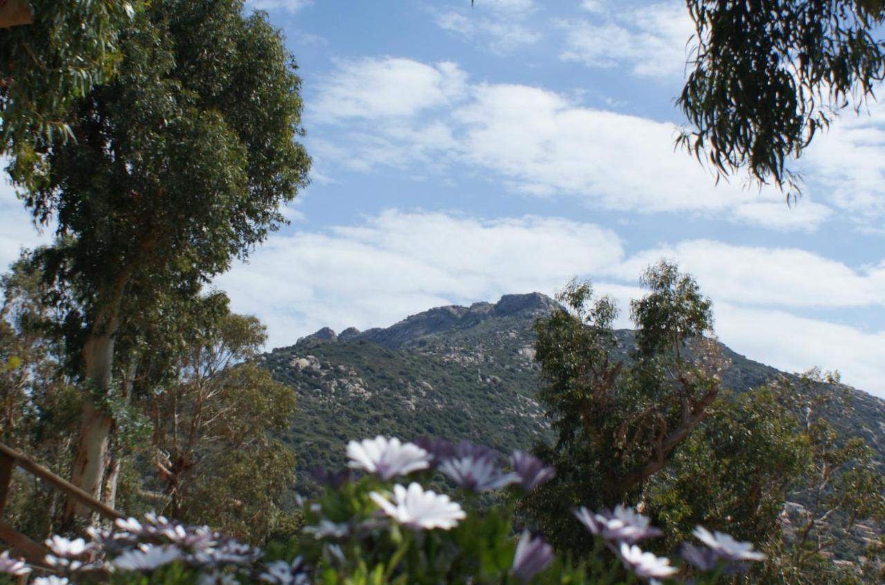 Belle Location Sur Lumio Avec Vue Remarquable Et Jardin Villa Dış mekan fotoğraf