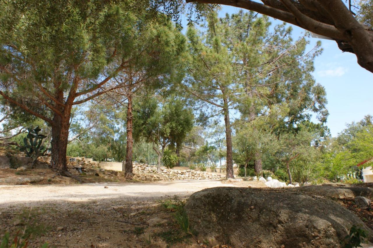 Belle Location Sur Lumio Avec Vue Remarquable Et Jardin Villa Dış mekan fotoğraf