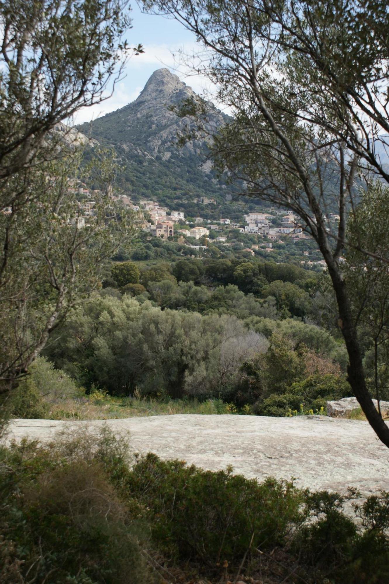 Belle Location Sur Lumio Avec Vue Remarquable Et Jardin Villa Dış mekan fotoğraf