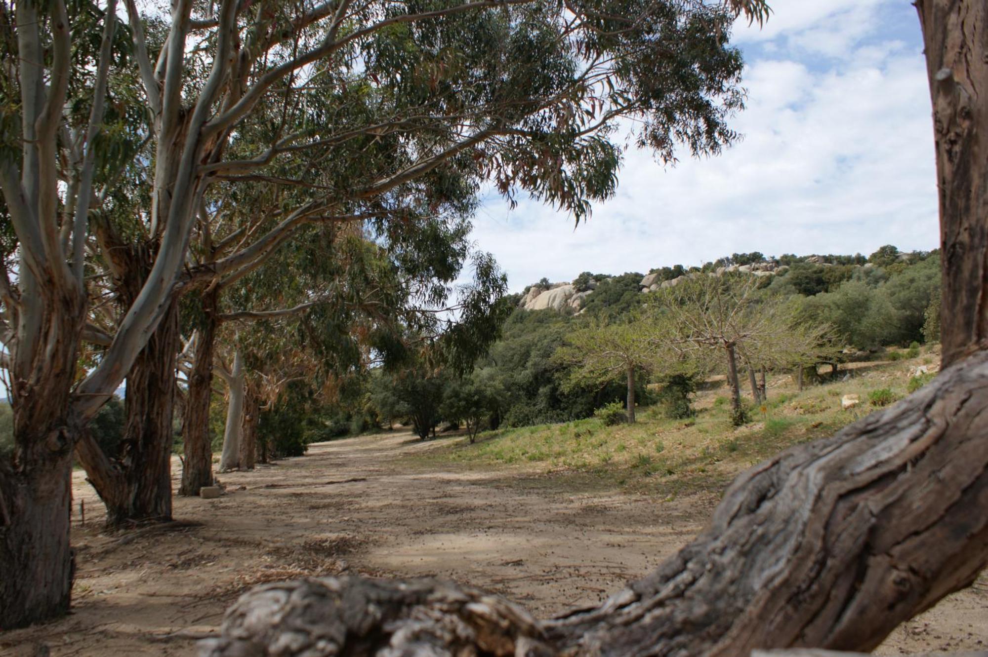 Belle Location Sur Lumio Avec Vue Remarquable Et Jardin Villa Dış mekan fotoğraf